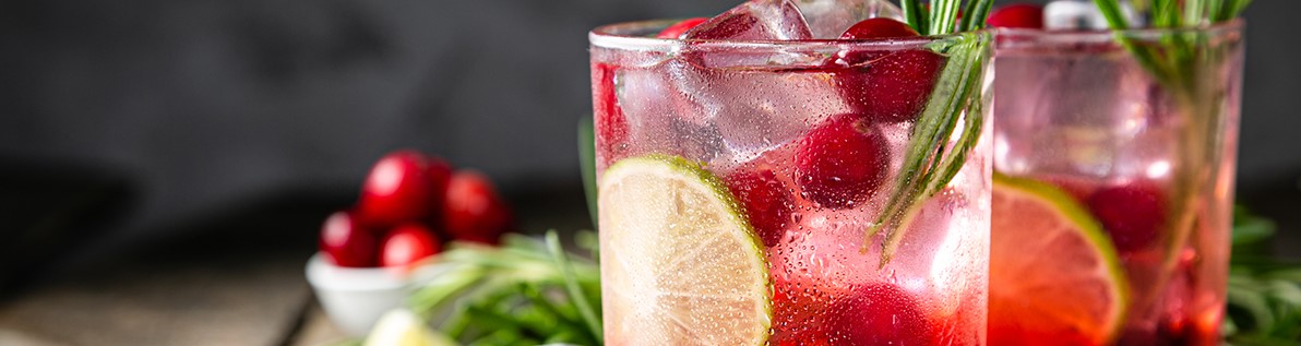 Cranberry Gin Tonic